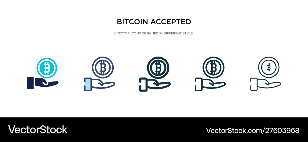 Bitcoin accepted icon in different style two vector image