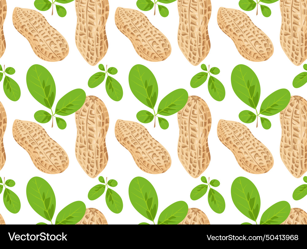 Peanut kernels in shell with tree leaves vector image