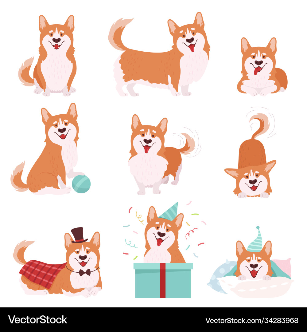 Welsh corgi with short legs and brown coat Welsh corgi with short legs and brown coat vector image