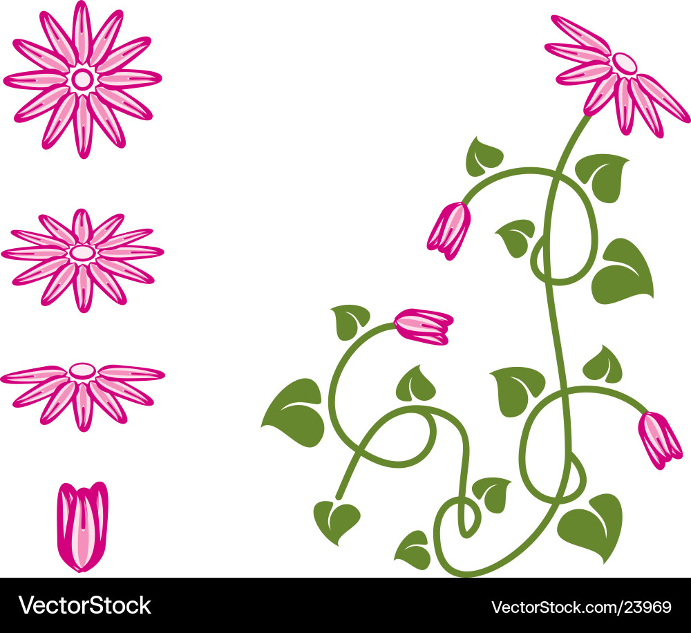 Design elements Vector Image
