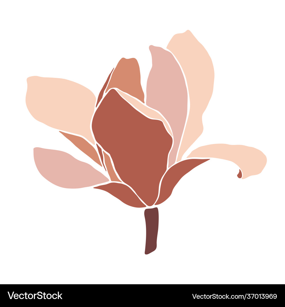 Magnolia blühende Blume auf weißem Hintergrund Magnolia blühende Blume auf weißem Hintergrund vektorbild