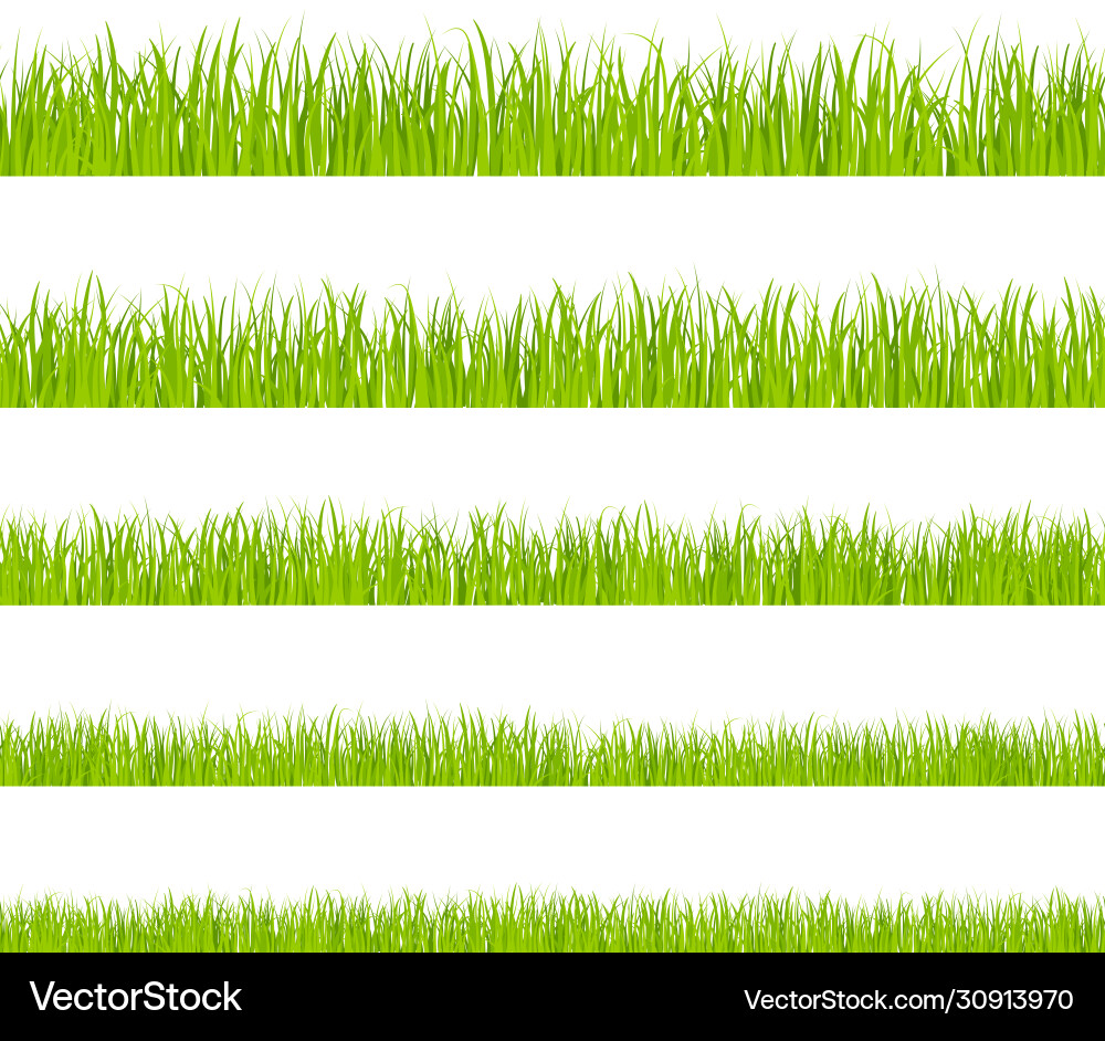 Grüne Graslandschaften vektorbild