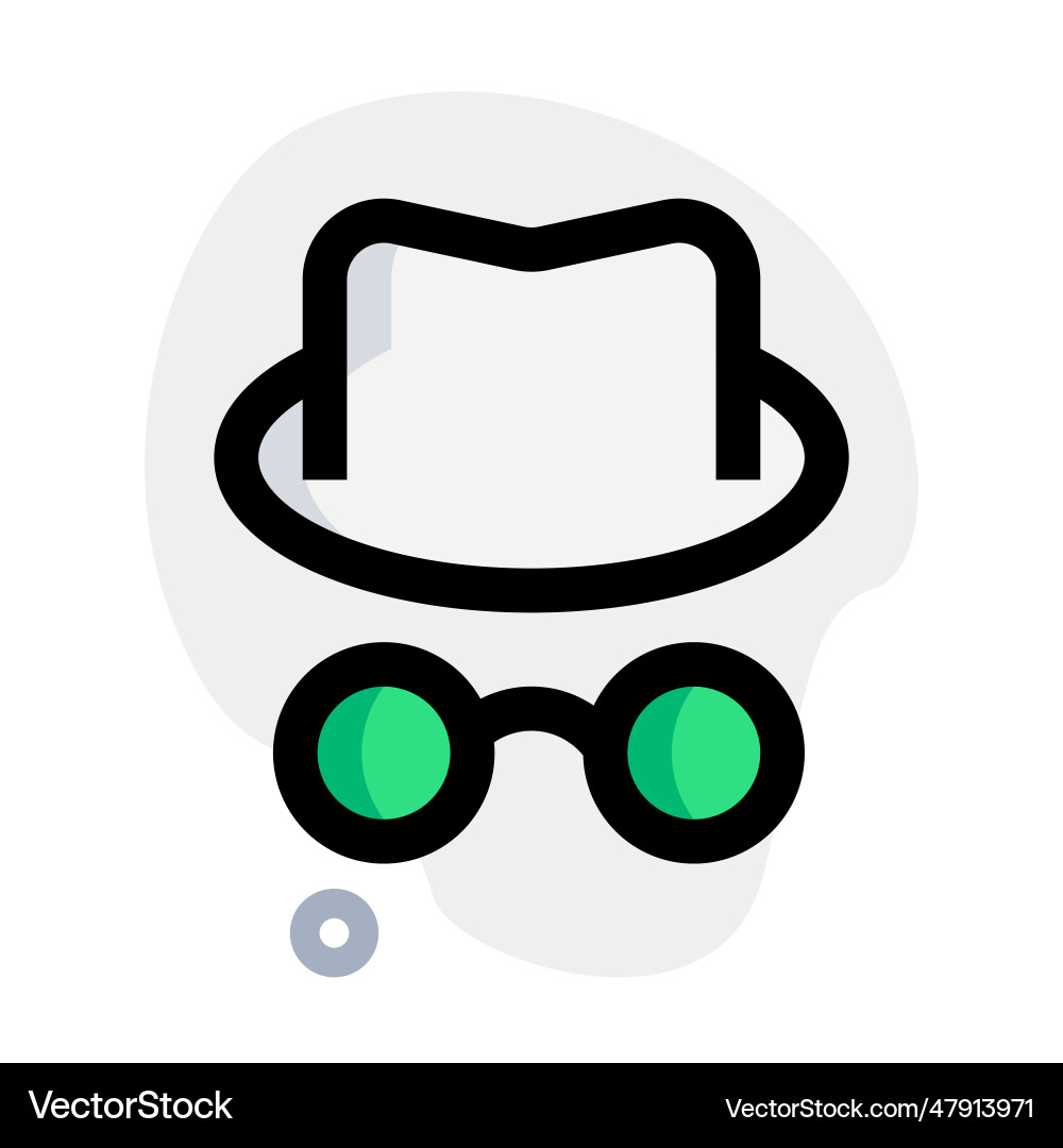An anonymous hacker with accessories vector image