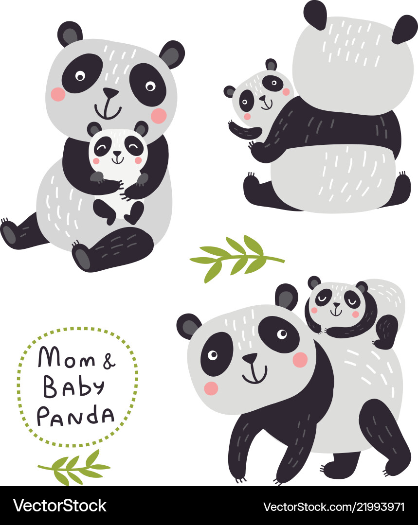 Cute Panda Set - Baby Pandas Vector Image