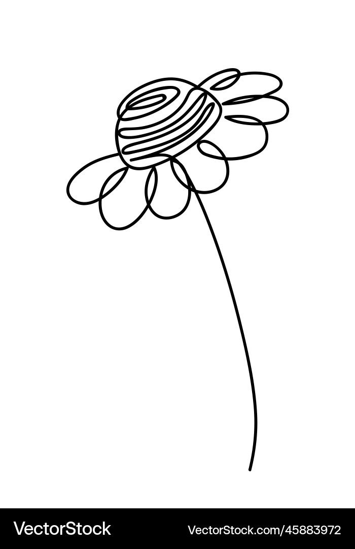 Chamomile drawing in single continuous line art vector image