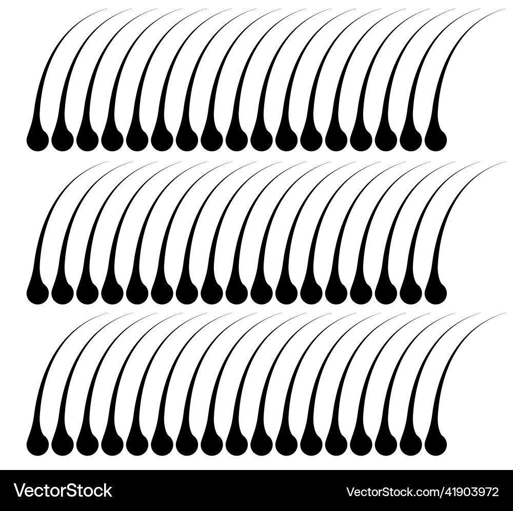 Hairs background design from based Vector Image