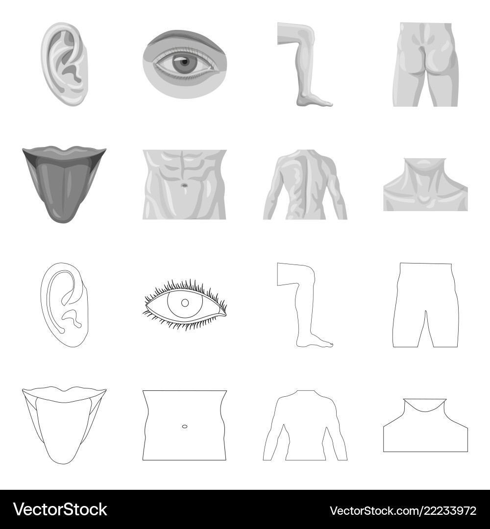 Isolated object of human and part symbol set vector image