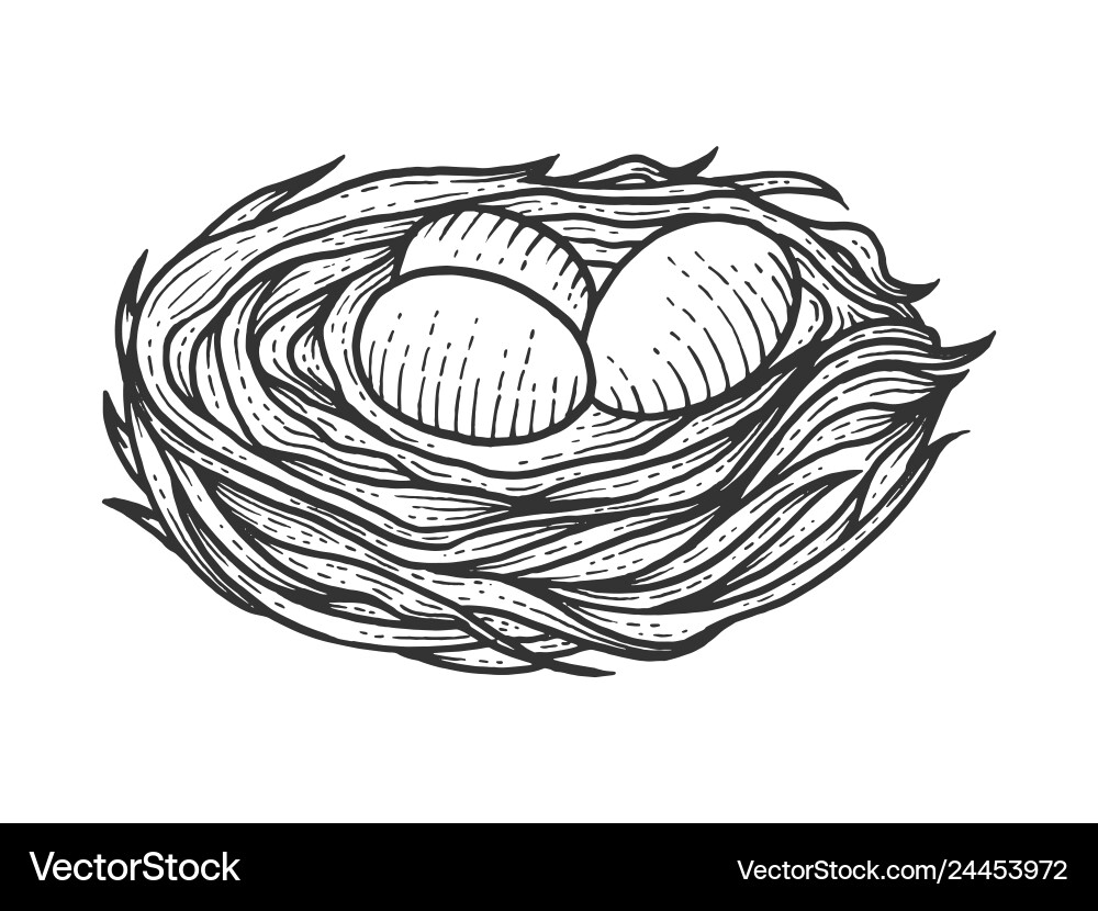 Nest with Eggs - Scratch Board Style vector image