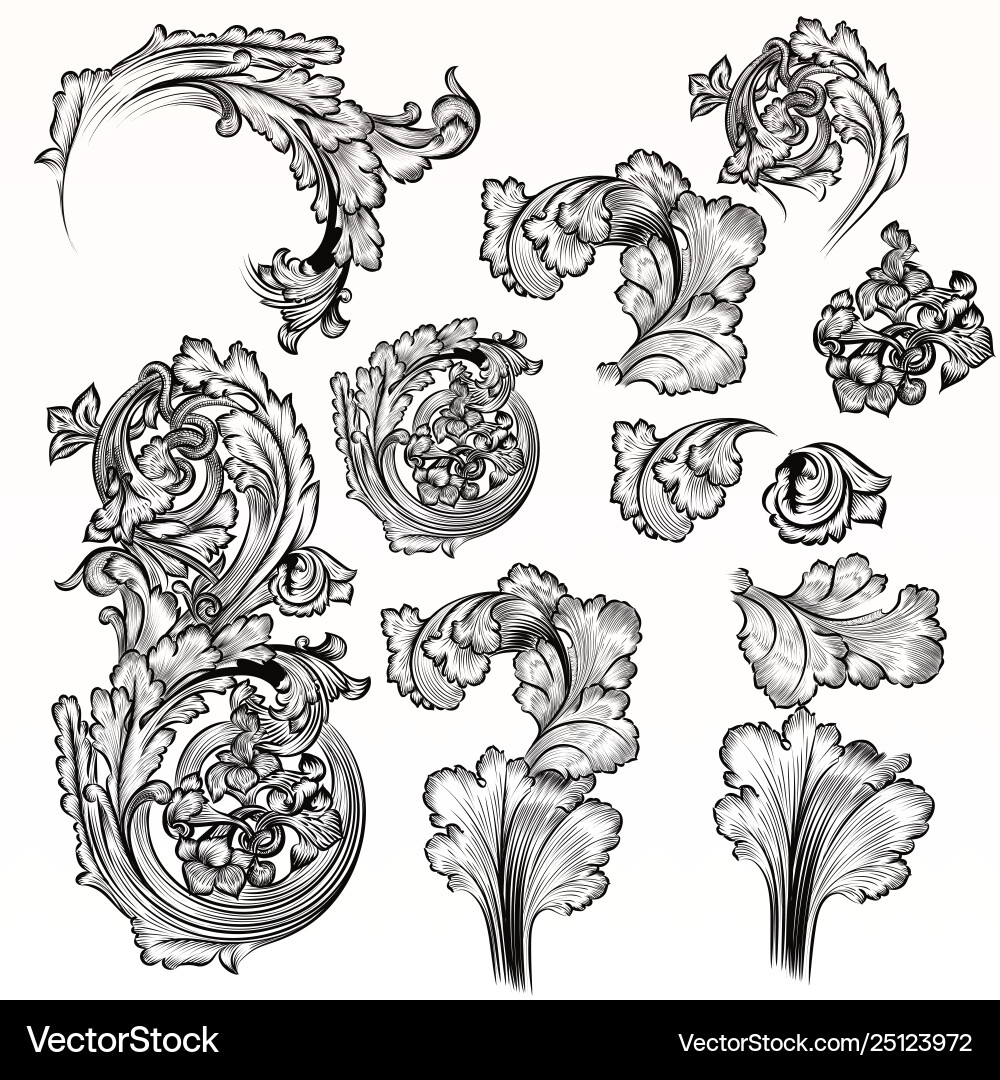 Set calligraphic elements for design Vector Image