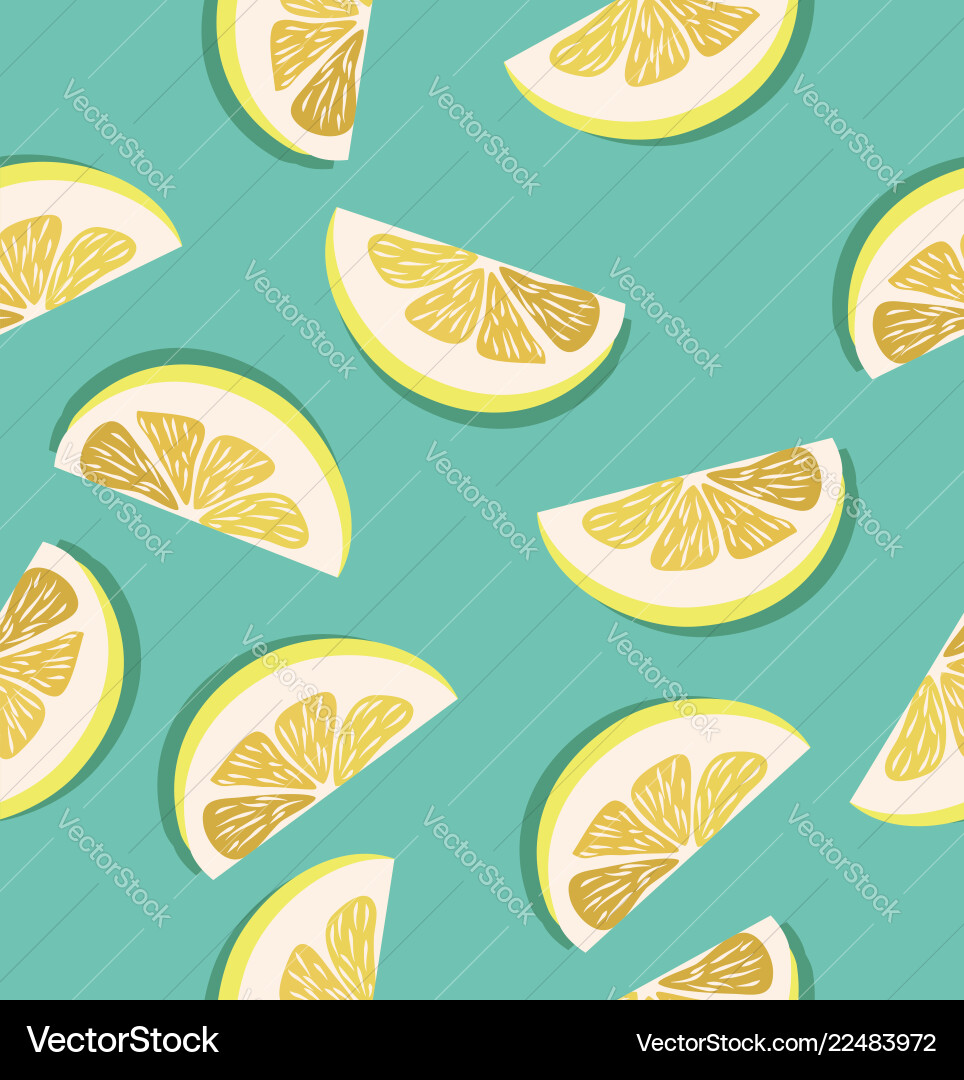 Slice of a lemons pattern Slice of a lemons pattern vector image