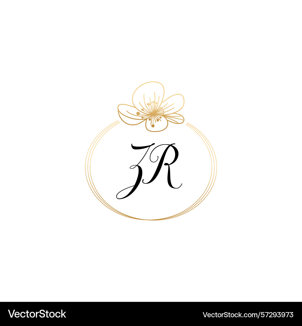Botanical monogram logos with initial zr Vector Image