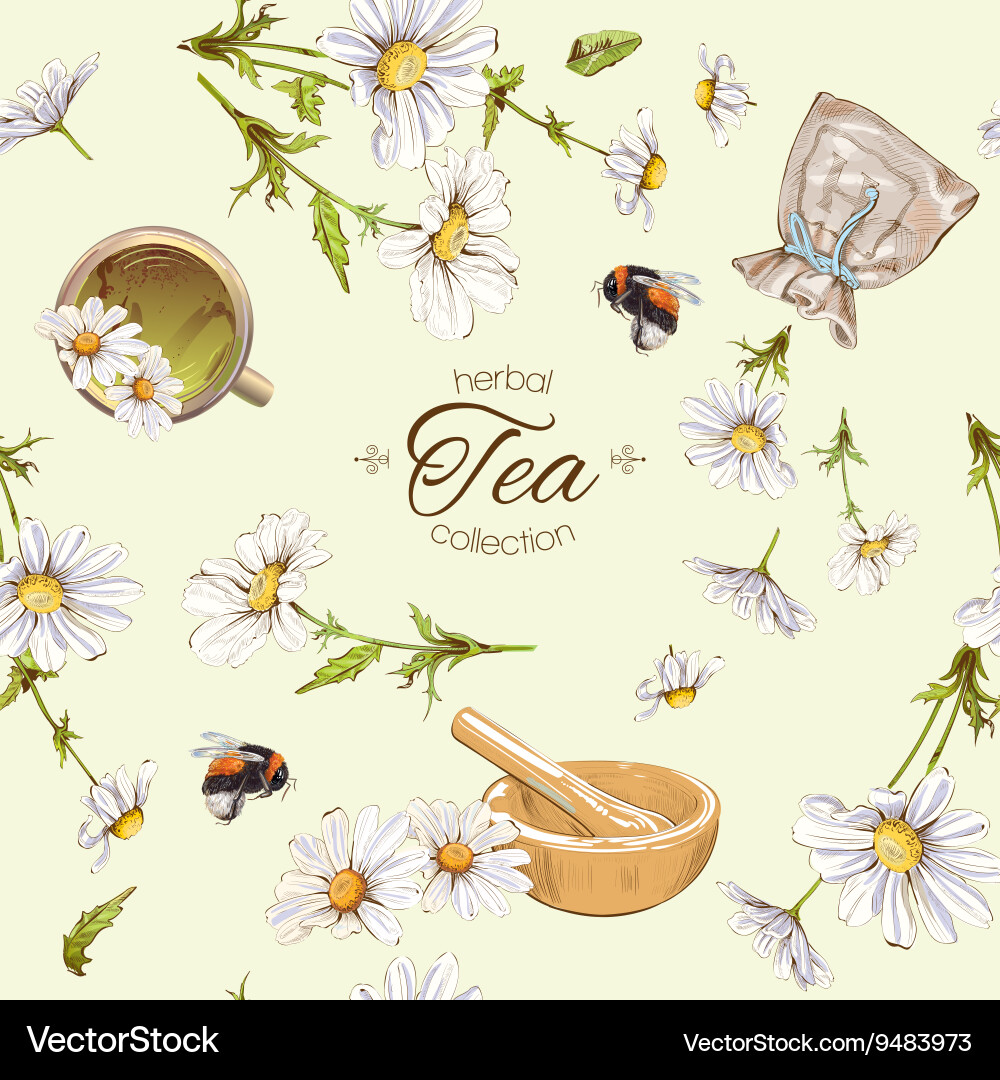 Chamomile Tea Pattern vector image