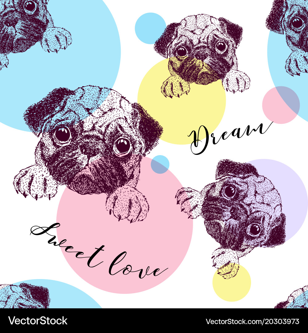 Seamless pattern with pretty pug puppy vector image