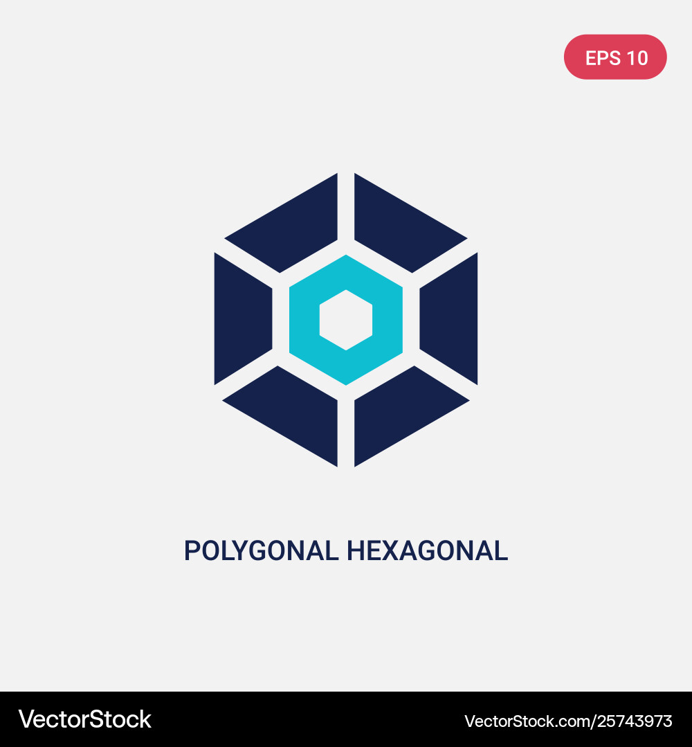 Two color polygonal hexagonal icon from geometry vector image