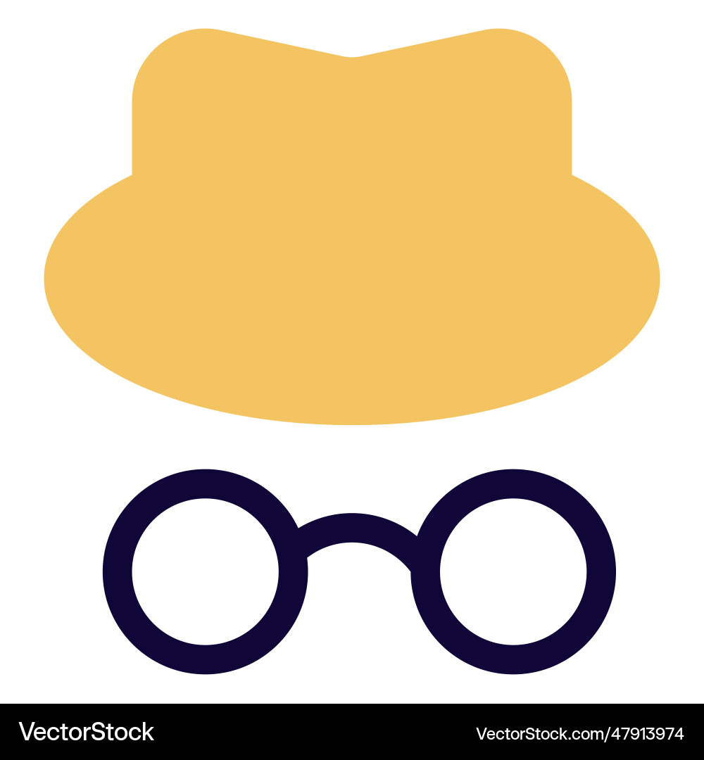An anonymous hacker with accessories vector image