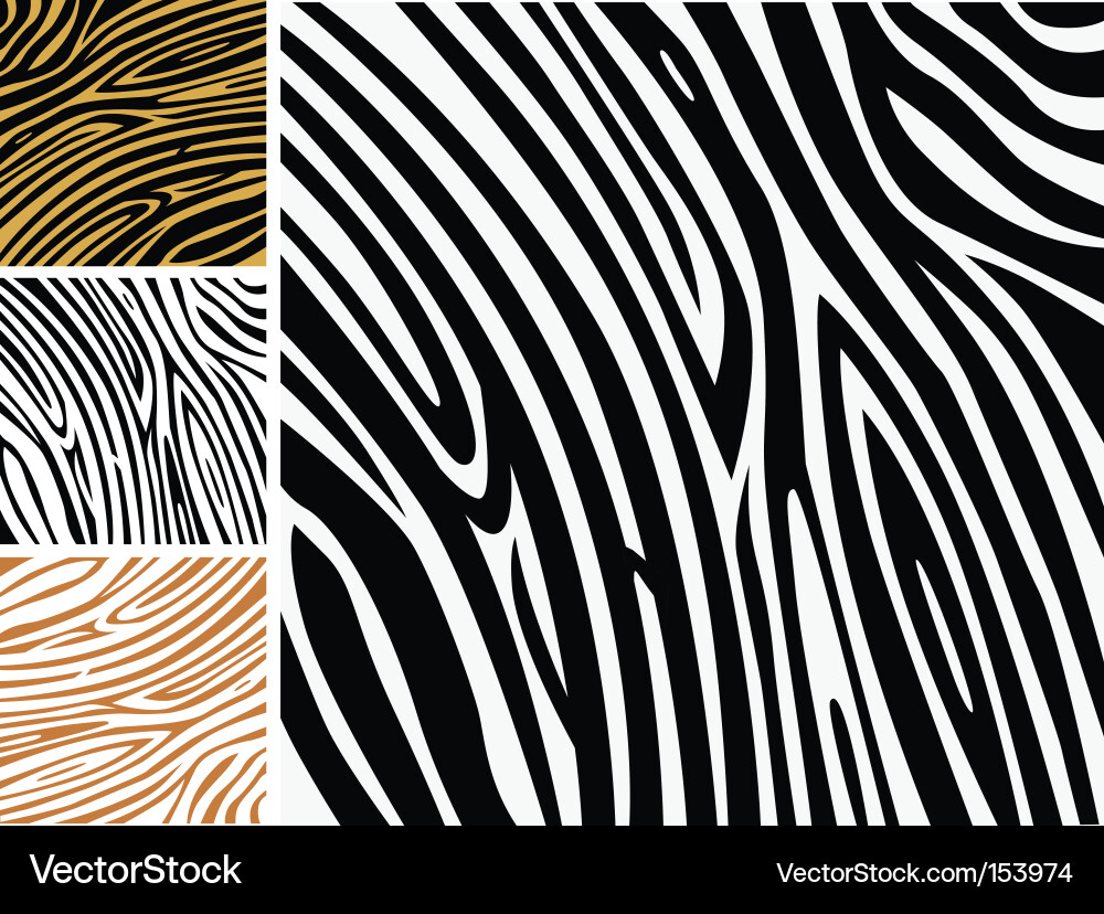 Zebra Stripes Pattern Vector Image