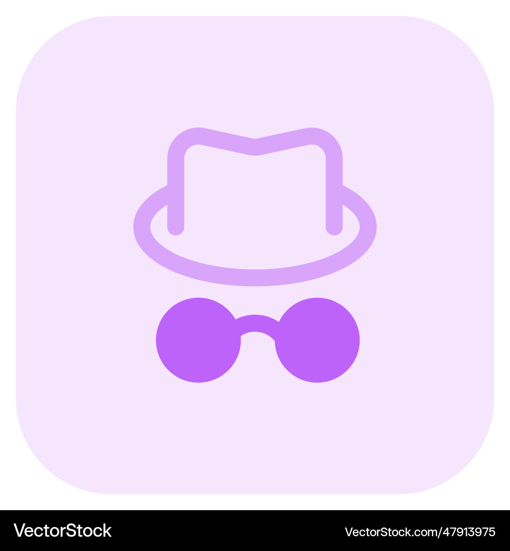 An anonymous hacker with accessories Vector Image