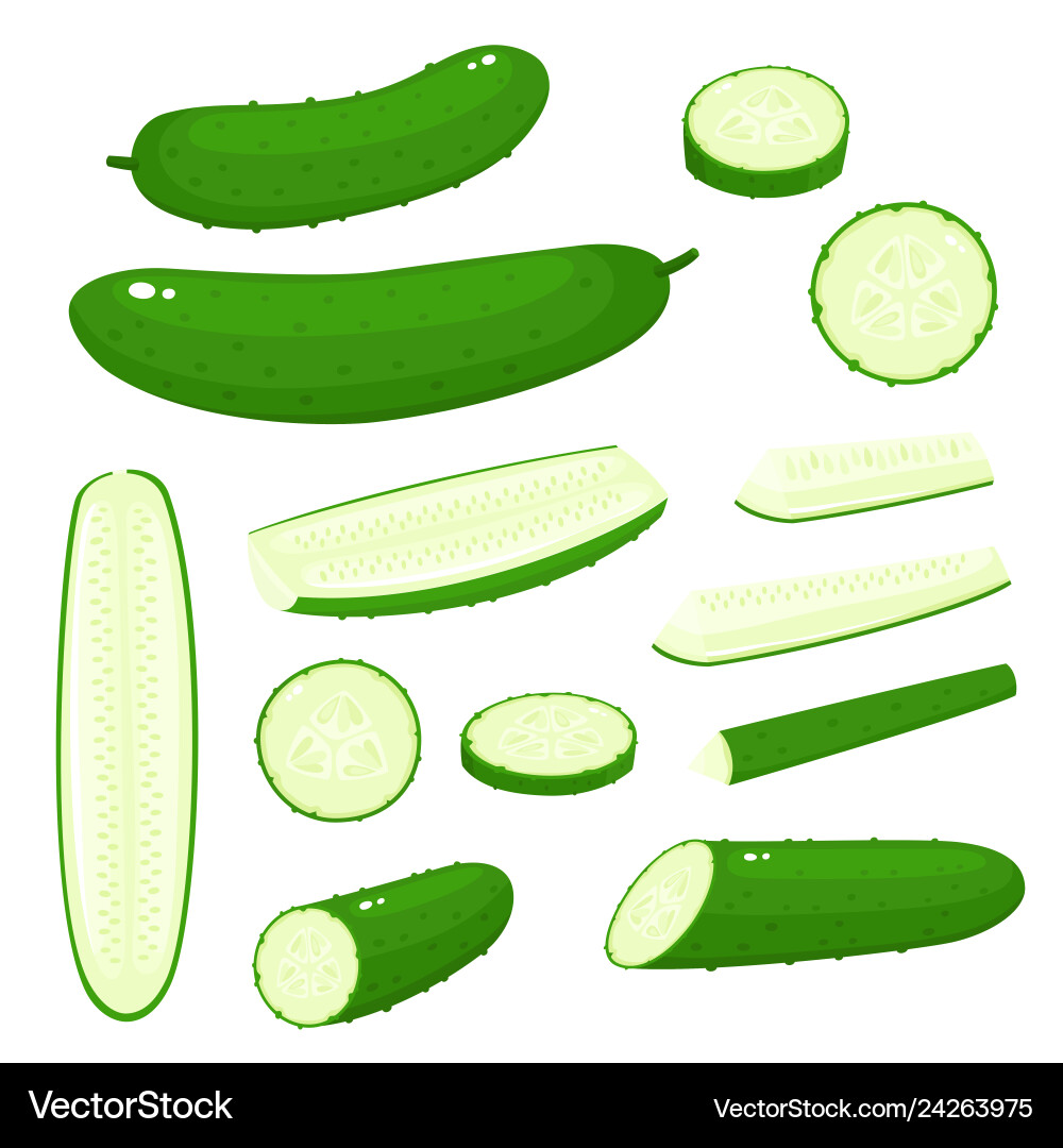 Bright collection of colorful different Bright collection of colorful different vector image