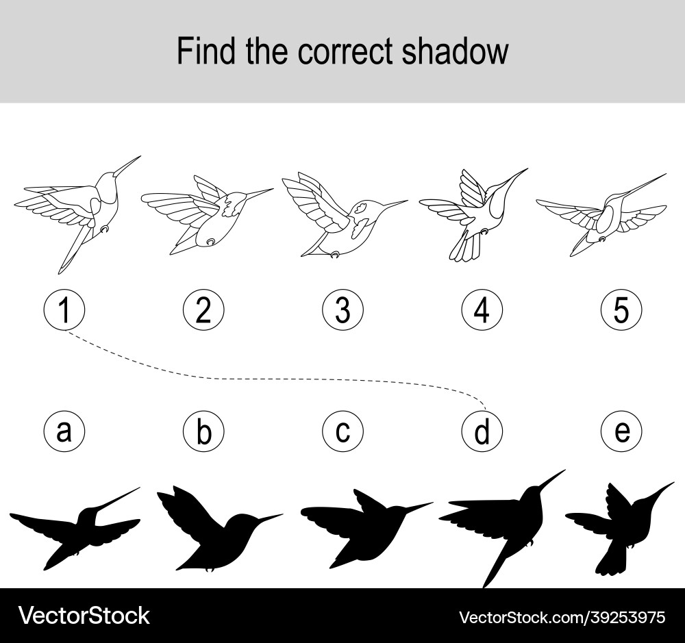 Find the correct shadow puzzle with different Find the correct shadow puzzle with different Vector Image