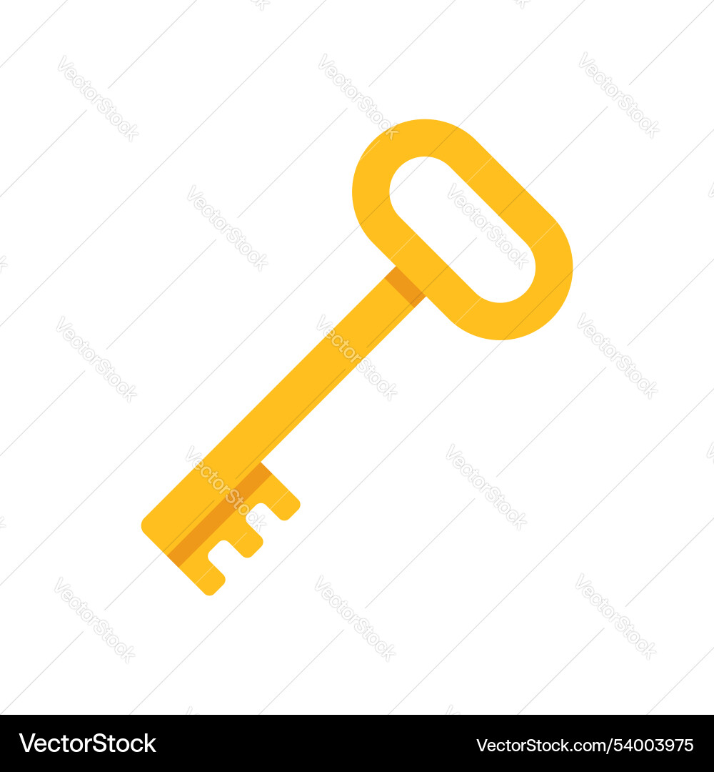 Key icon in flat style security on isolated Vector Image