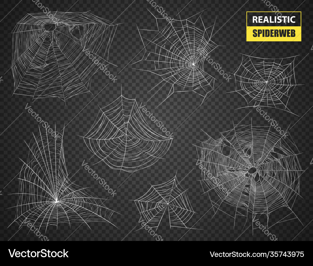 Realistic Spiderweb Collection vector image