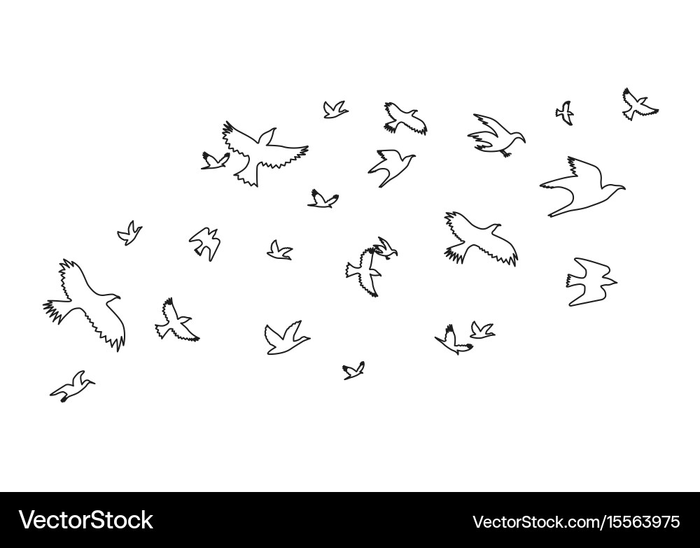Silhouette black fly birds thin line set vector image