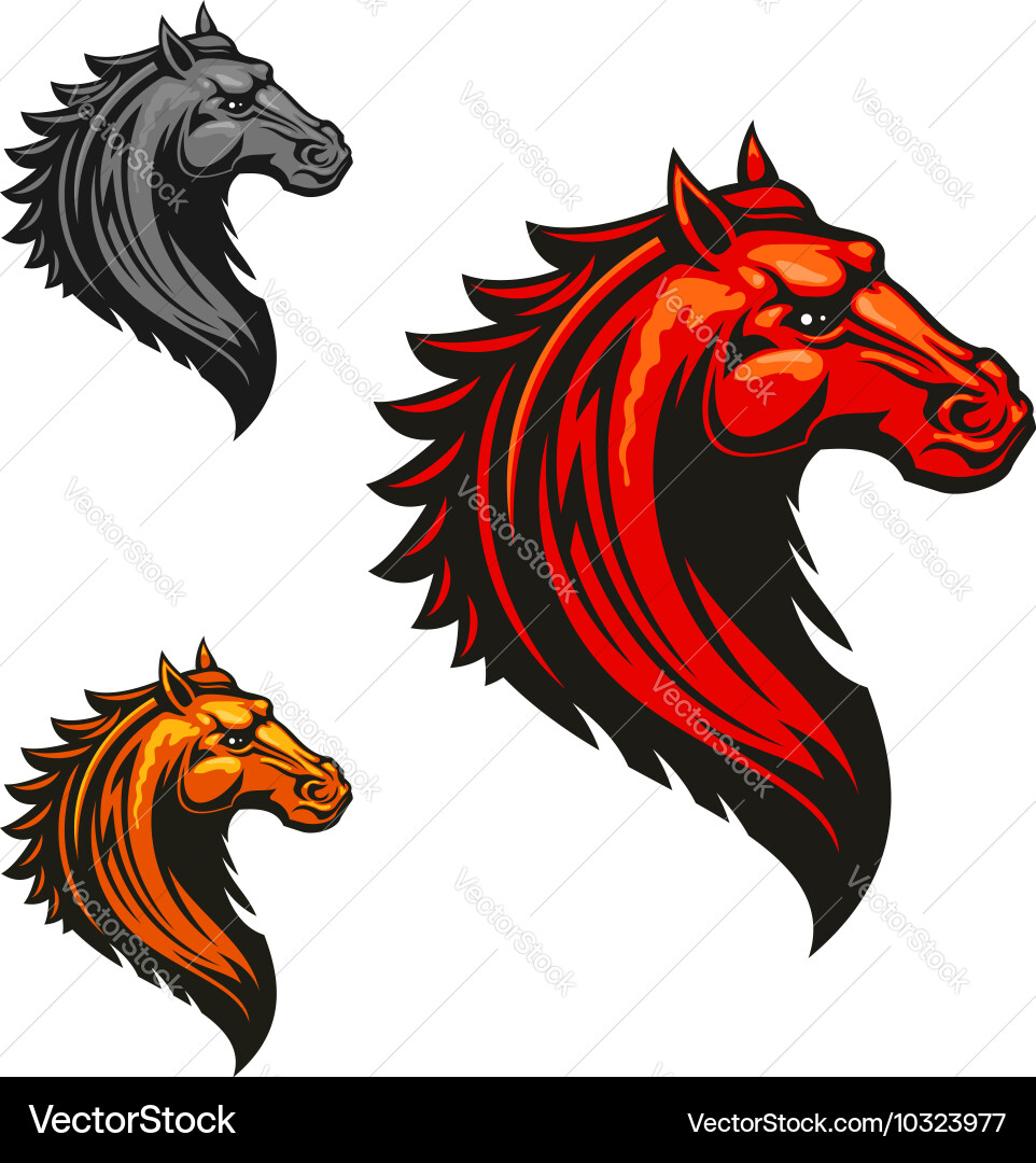 Flaming wild mustang horse for sporting design Vector Image