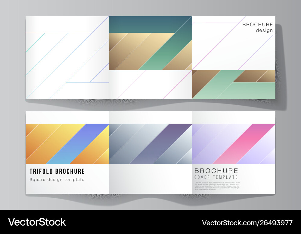 Minimal editable layout square Minimal editable layout square Vector Image