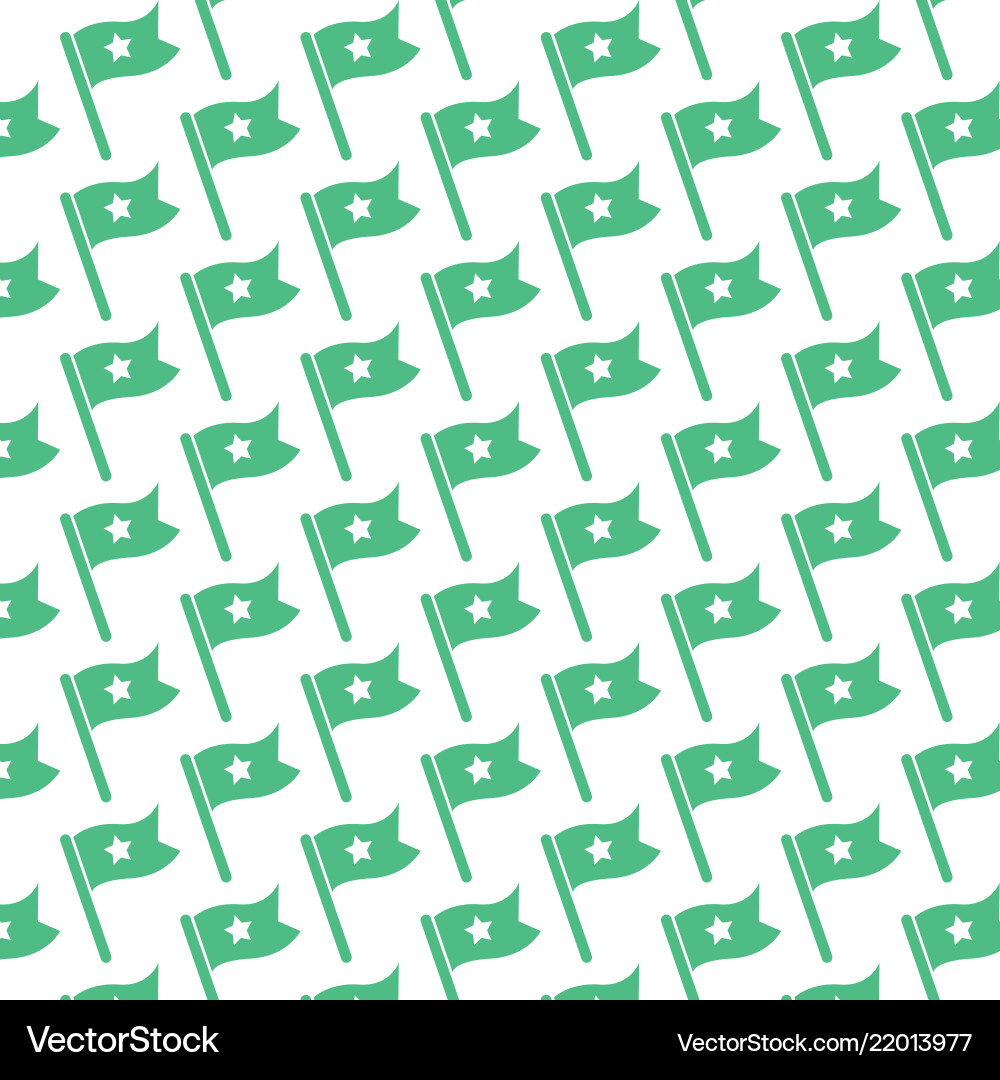 Pattern background flag icon vector image