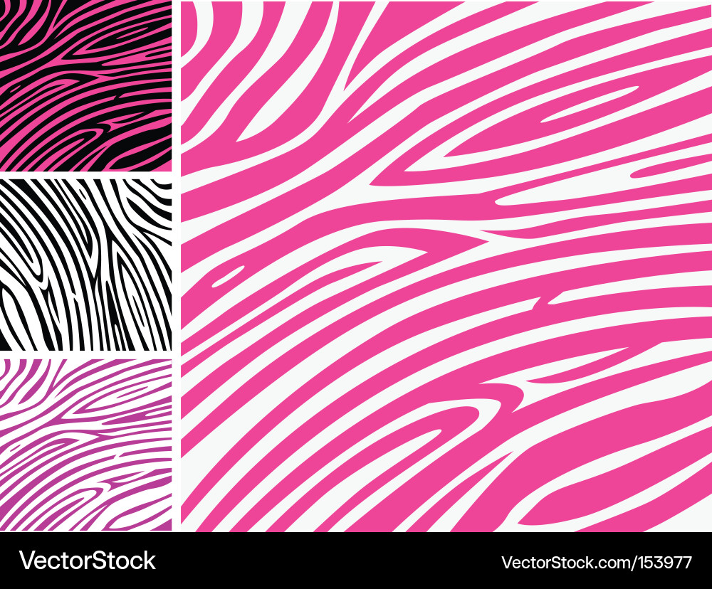 Pink Zebra Stripes Background Vector Image