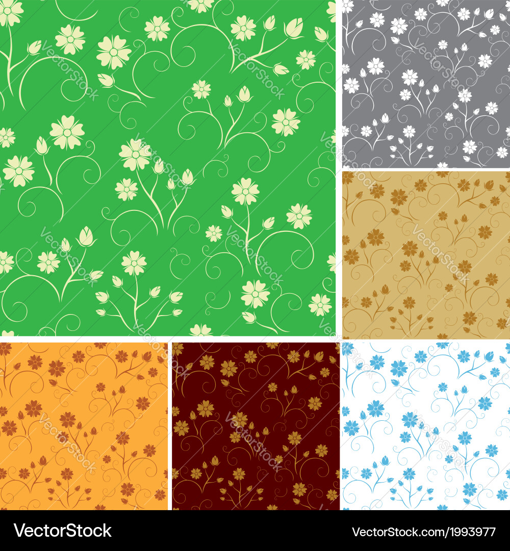 Set - seamless patterns with flowers vector image