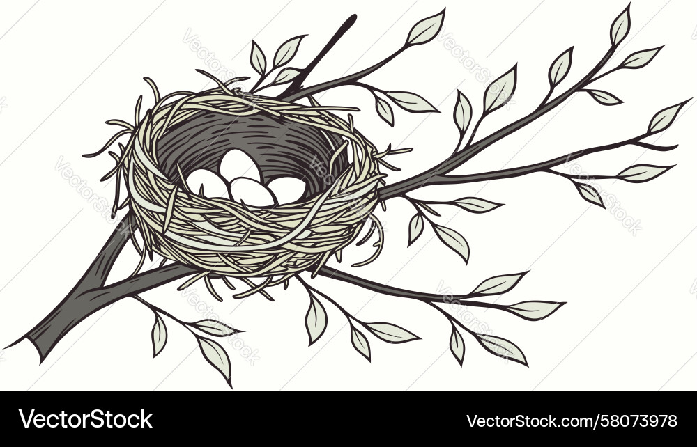Charming Bird Nest with Eggs Vector Image