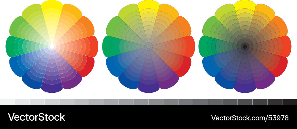 Colorful Spectrum Circles Vector Image