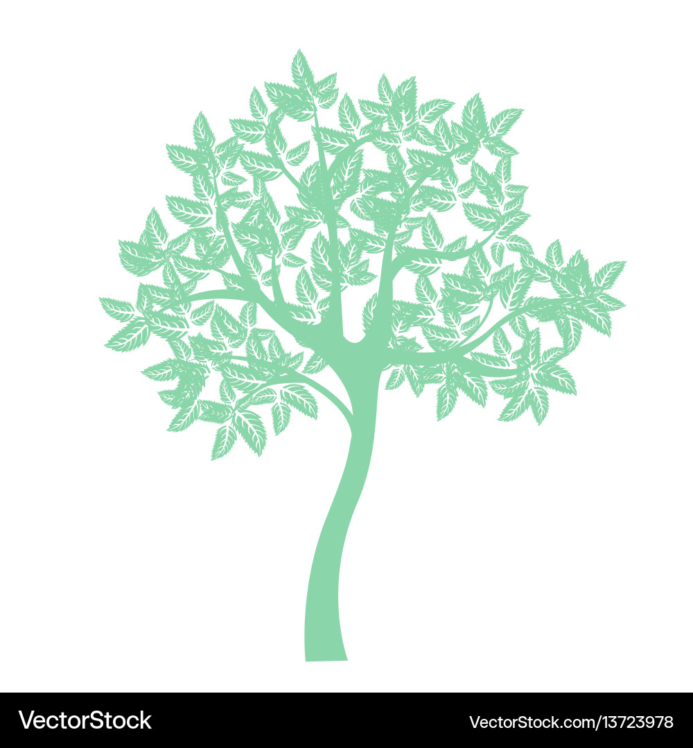 Tree Tree vector image