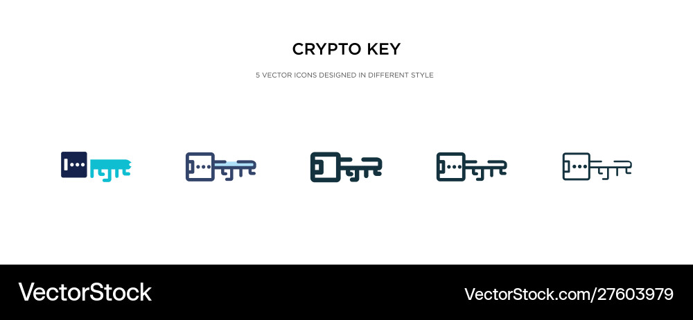 Crypto key icon in different style two colored Crypto key icon in different style two colored vector image