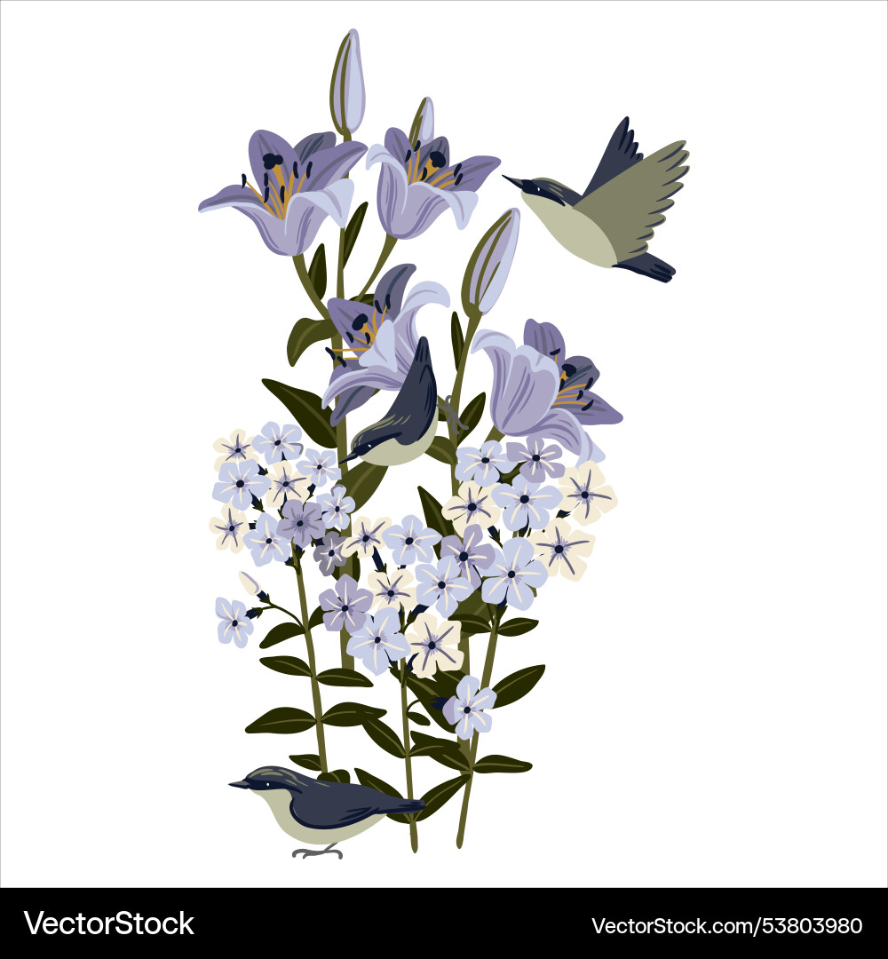 Drawing garden flowers and birds Royalty Free Vector Image