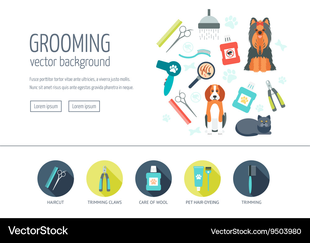 Grooming web design concept for website vector image