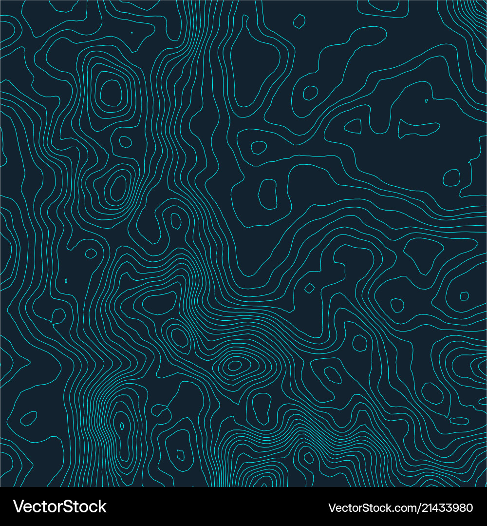 Topographic Map Background Vector Image