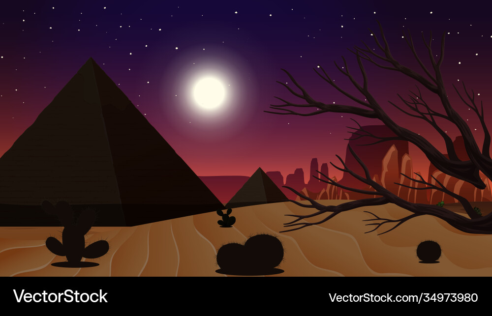 Wild desert landscape at night scene Wild desert landscape at night scene vector image