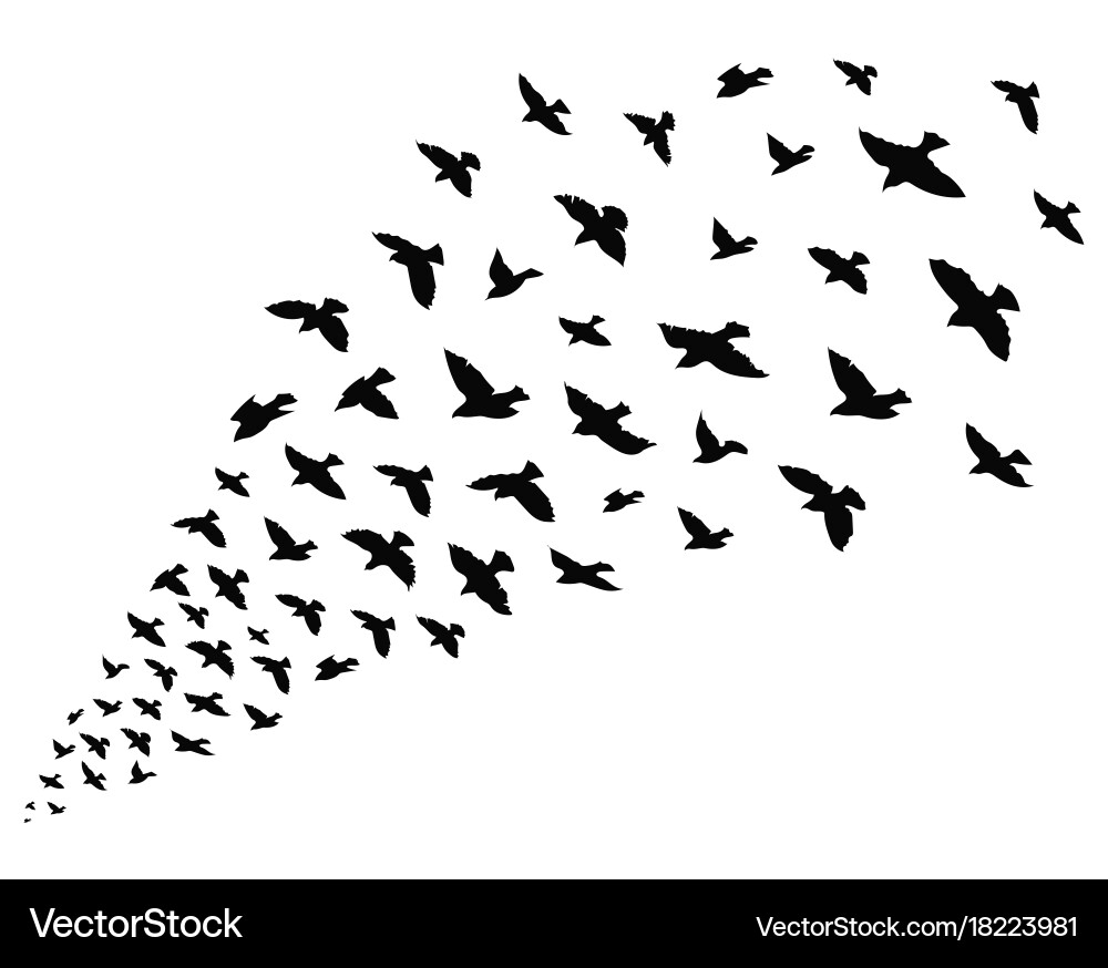 Black Bird Flock Silhouette vector image