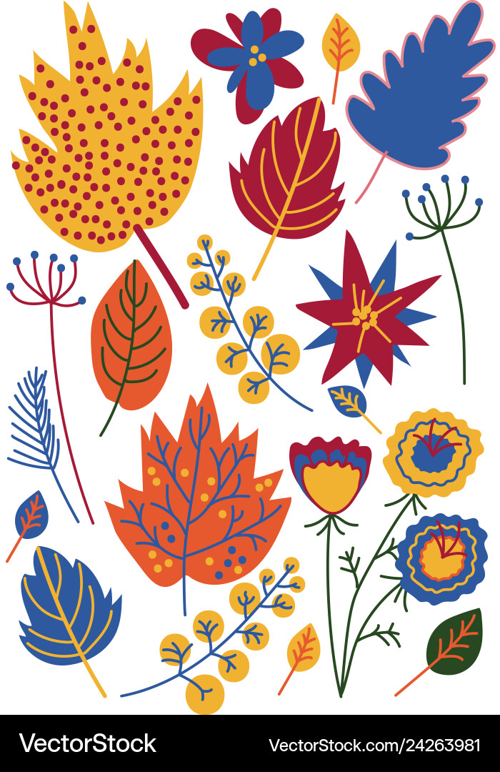 Colorful autumn leaves flowers and berries Colorful autumn leaves flowers and berries vector image