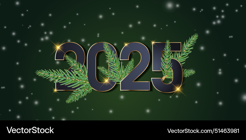Happy new year 2025 holiday greeting card design Vector Image