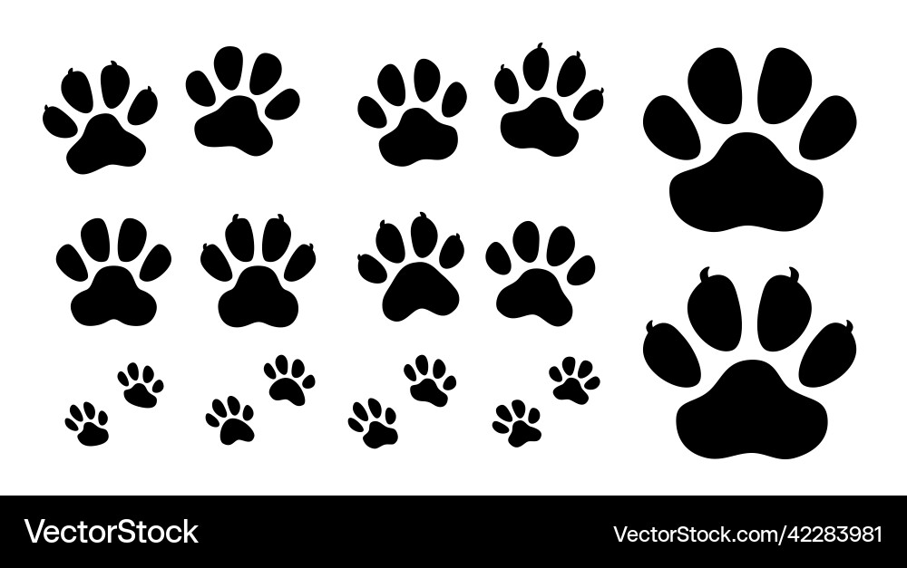 Paw icon set black print of dog and cat vector image