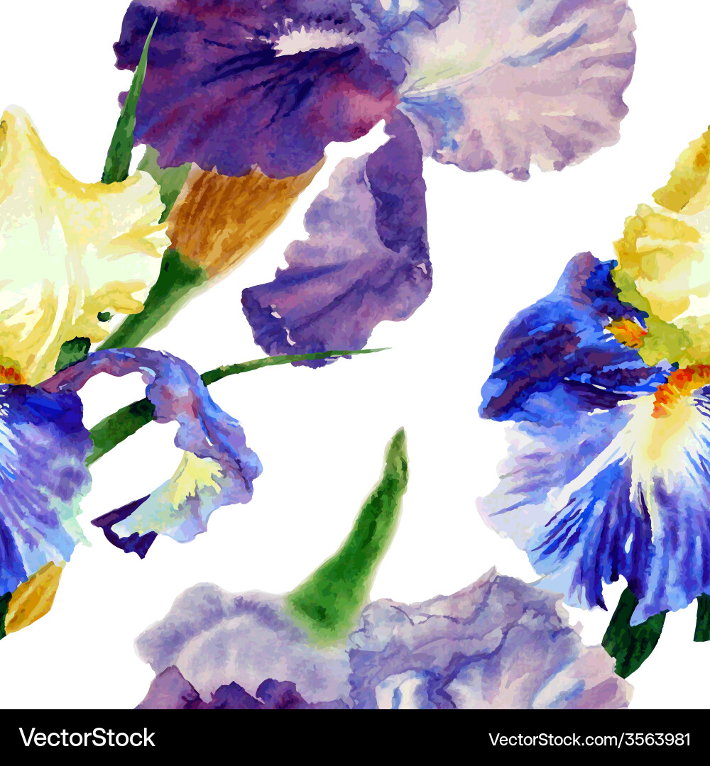 Seamless pattern with color irises1-04 vector image