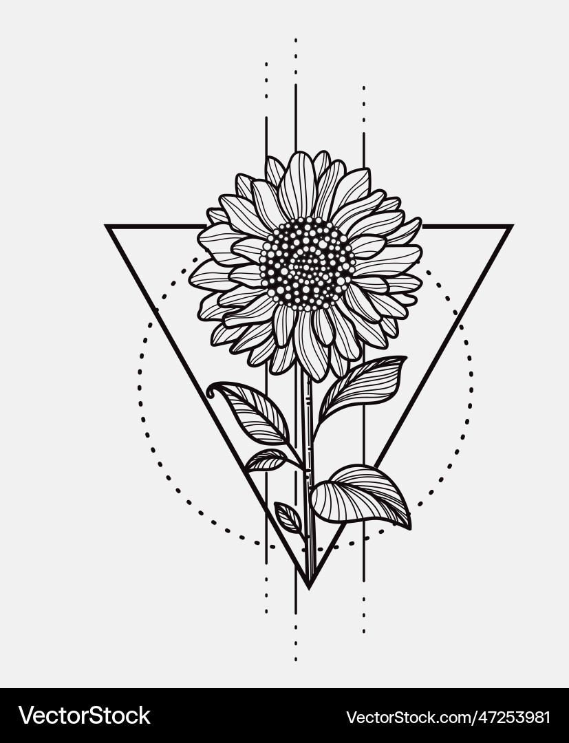 Sonnenblumenhand gezogen mit geometrischem Dreieck Sonnenblumenhand gezogen mit geometrischem Dreieck vektorbild