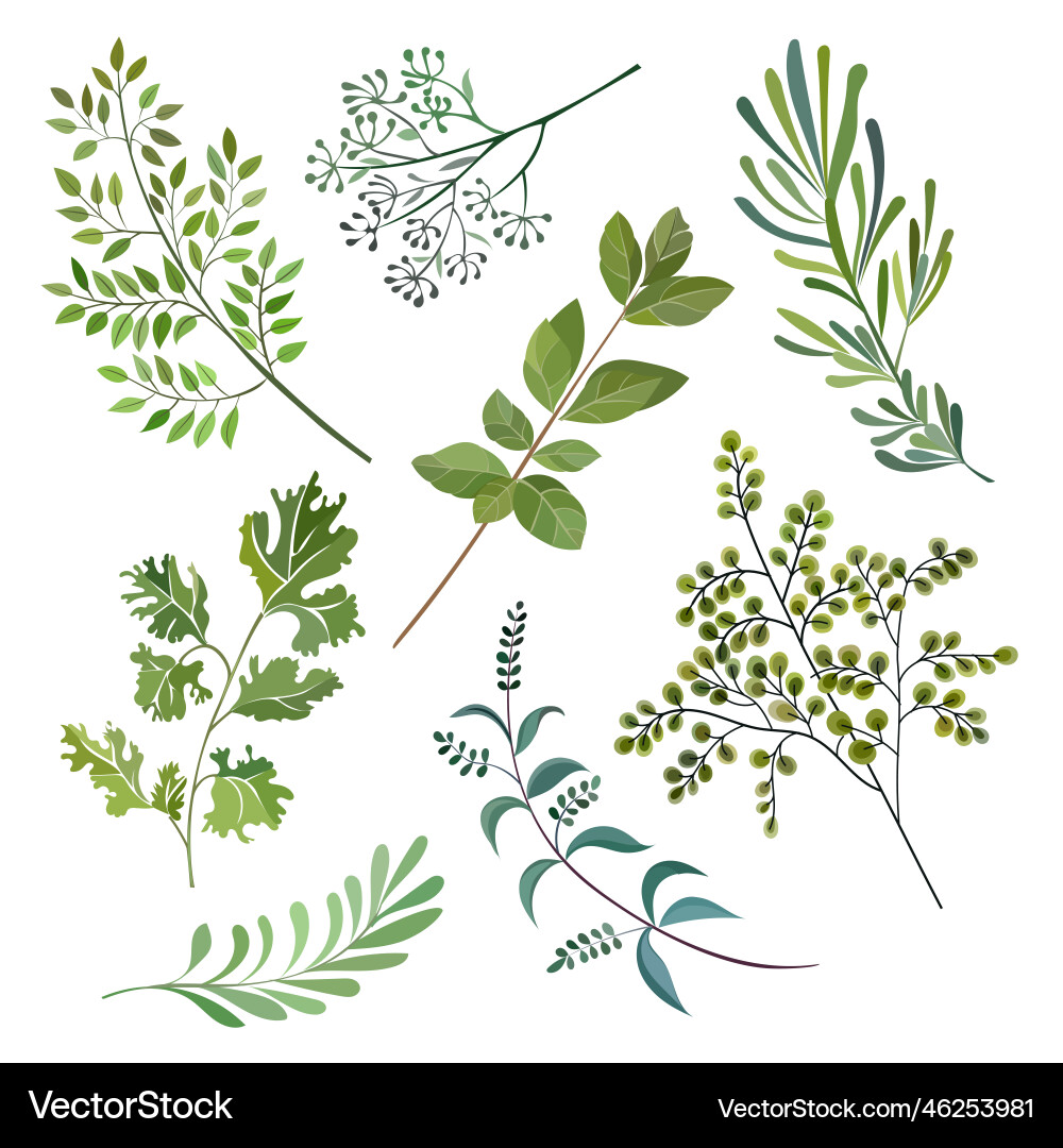 Spring art print with botanical elements Vector Image