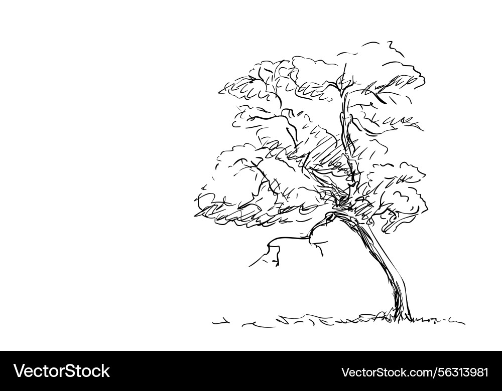 Tree sketch in a hand-drawn style slightly Tree sketch in a hand-drawn style slightly Vector Image