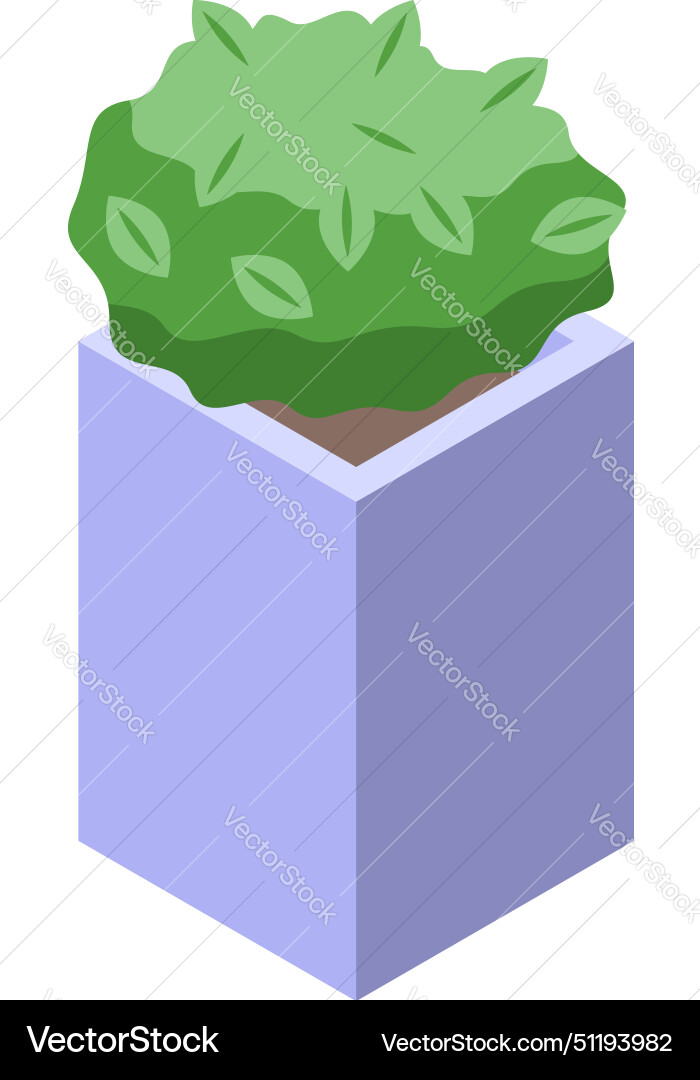 Bush plant icon isometric botany pot Bush plant icon isometric botany pot vector image