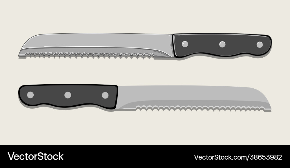 Kitchen bread knife in two versions isolated Kitchen bread knife in two versions isolated vector image