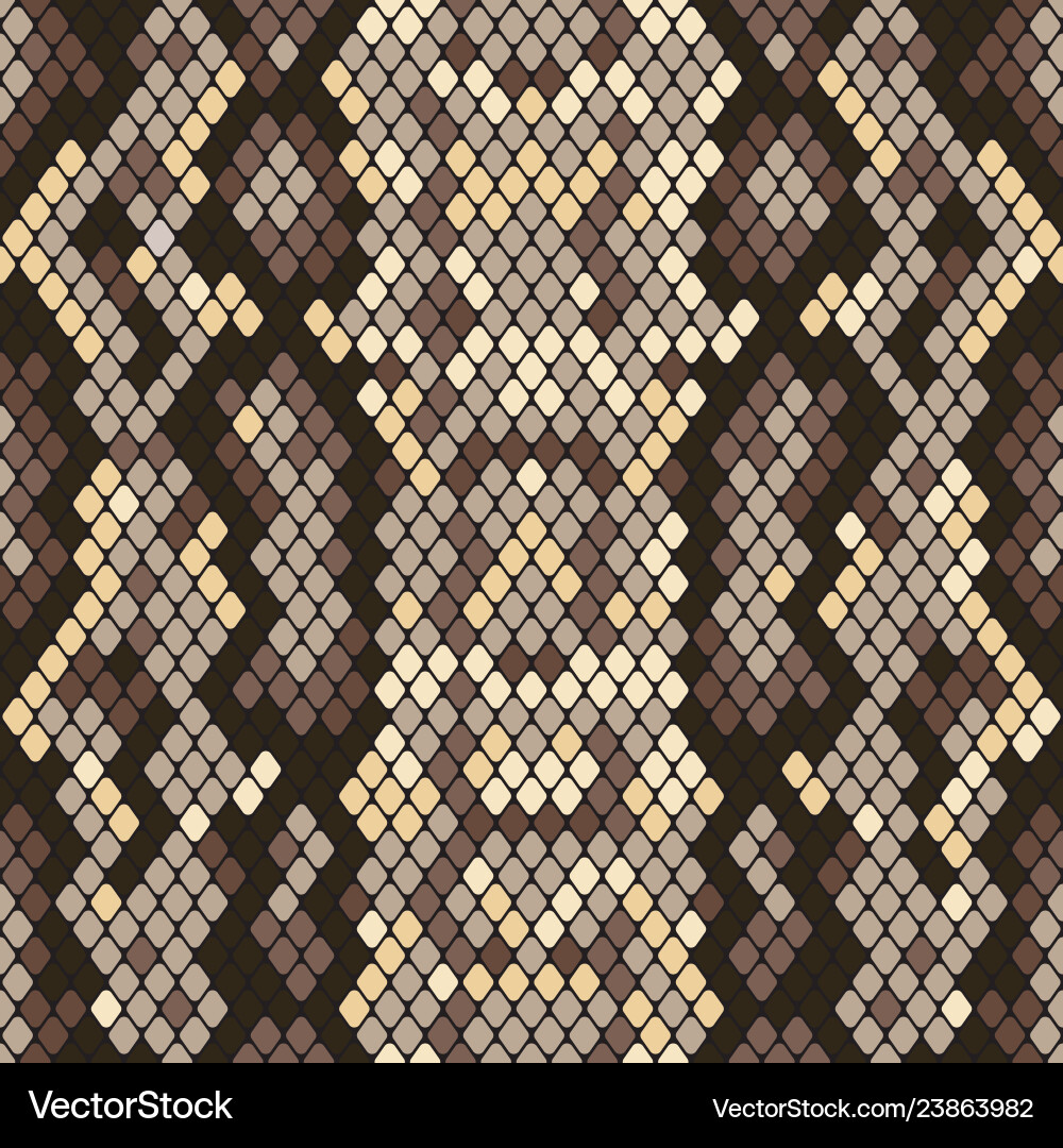 Snakeskin Texture Pattern vector image